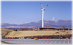 ���Ԃ�ܖq��