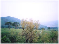 �i�F�͂���Ȋ���