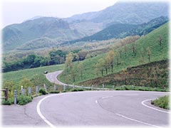 ���͂����Ƃ���Ȓ��q