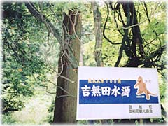 �t�l�b�s�[�̗��Ŕ�