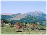 ���i�ǂ��ł�