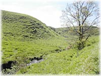 �����ǂ��H