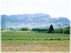 ���i�͎R����т���