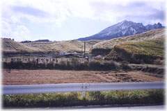 �����傤�q��