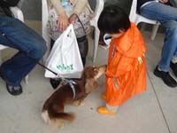 ������������