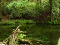 �r�R����