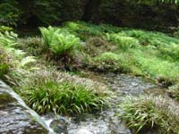 �r�R����