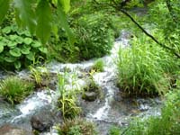 �r�R����